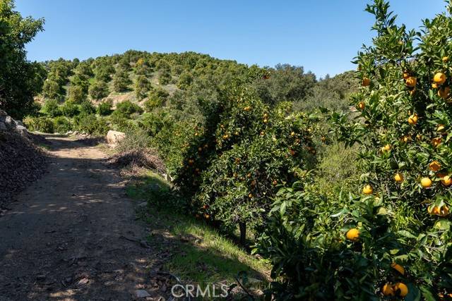 Wildomar, CA 92530,11 Stage