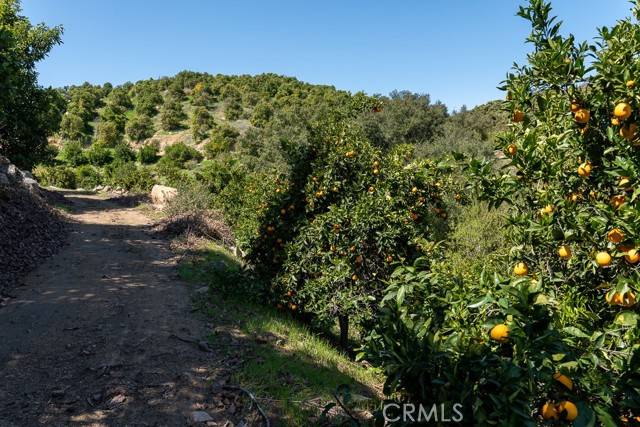 Wildomar, CA 92530,11 Stage