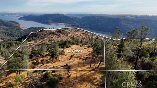 Oroville, CA 95916,0 Bloomer Mountain