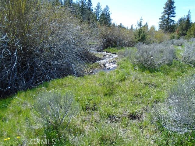 Alturas, CA 96101,0 Hogan