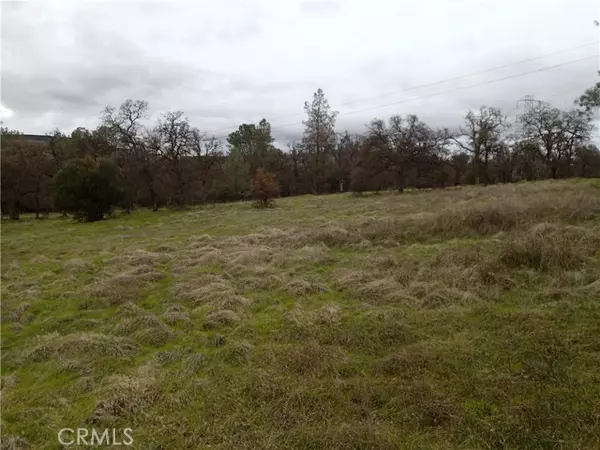 Oroville, CA 95966,0 Long Bar