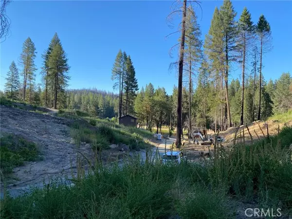 Berry Creek, CA 95916,35 Cedar