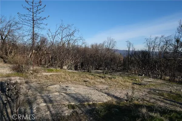 Berry Creek, CA 95916,2541 Bald Rock