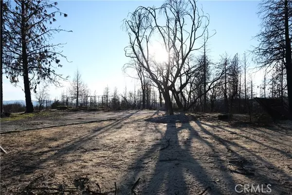 Berry Creek, CA 95916,2541 Bald Rock