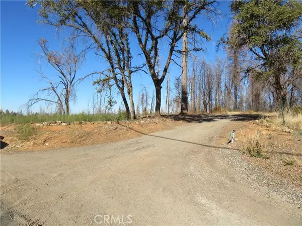 Berry Creek, CA 95916,781 Bald Rock