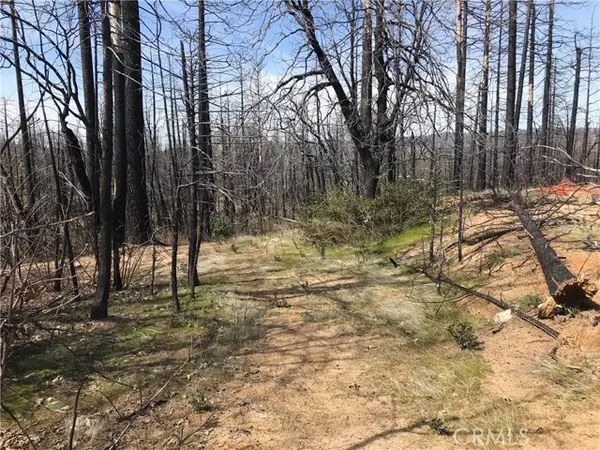 Berry Creek, CA 95916,5 Chipmonk