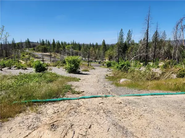 Berry Creek, CA 95916,2175 Bald Rock