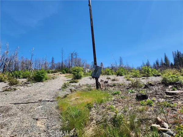 Berry Creek, CA 95916,2175 Bald Rock