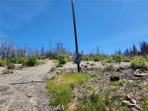 Berry Creek, CA 95916,2175 Bald Rock