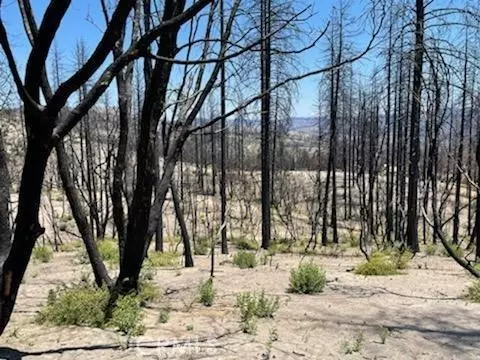 Berry Creek, CA 95916,0 Indian Cemetery