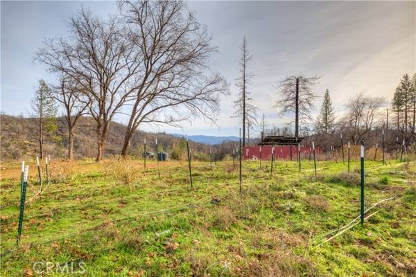 993 Big Ridge, Berry Creek, CA 95916