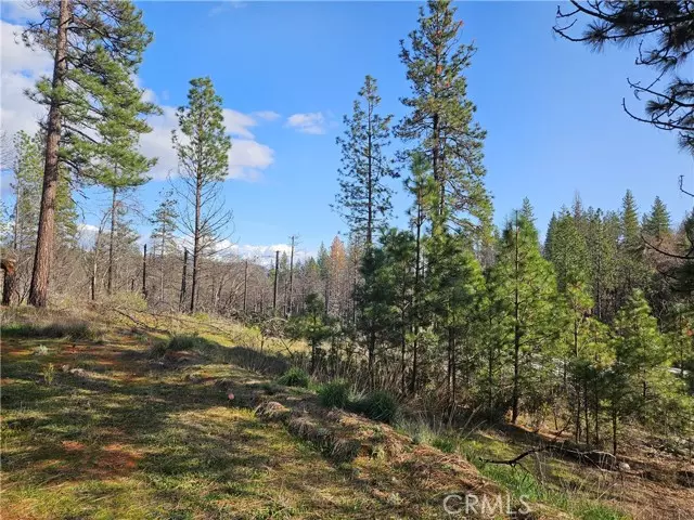 0 Feather Ridge, Berry Creek, CA 95916