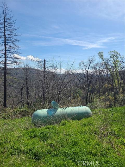 Berry Creek, CA 95916,519 Little Ridge Road