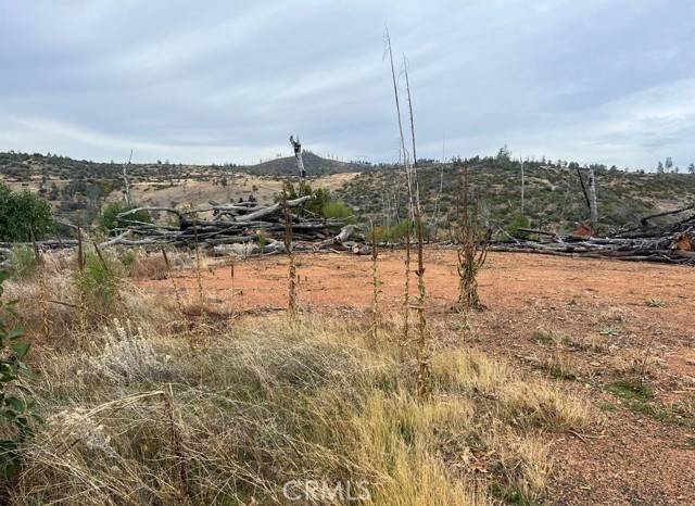 Concow, CA 95965,0 Detlow