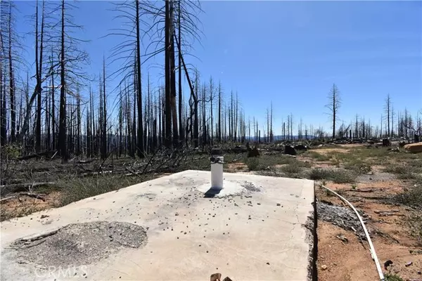 Berry Creek, CA 95916,3155 Bald Rock