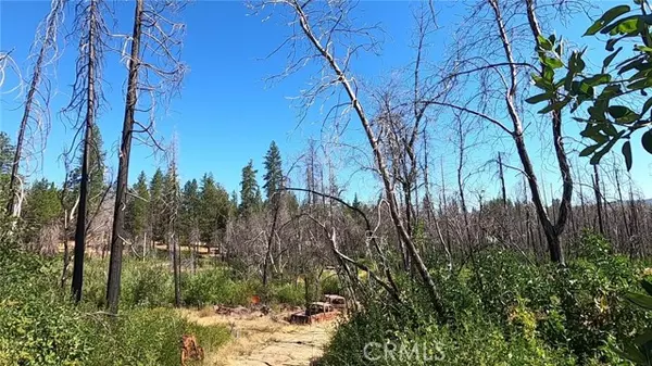 Berry Creek, CA 95916,0 Bay Ranch Road