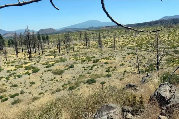 Weed, CA 96094,0 Juniper Valley