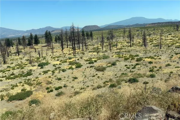 Weed, CA 96094,0 Juniper Valley