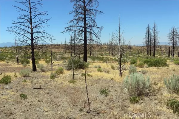 Weed, CA 96094,0 Juniper Valley