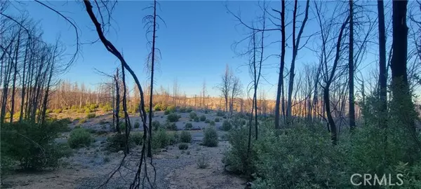 Berry Creek, CA 95916,0 Bald Rock