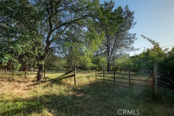 Oroville, CA 95966,0 Pinedale