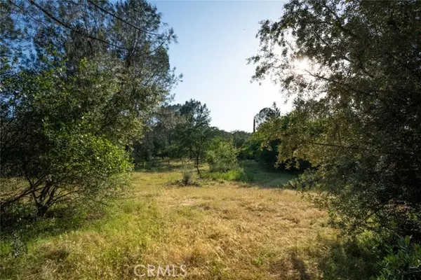 Oroville, CA 95966,0 Pinedale