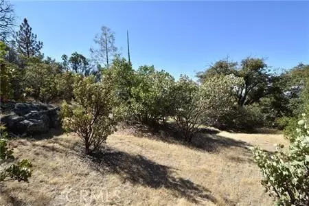 Berry Creek, CA 95916,0 Indian Cemetary