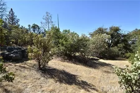 0 Indian Cemetary, Berry Creek, CA 95916