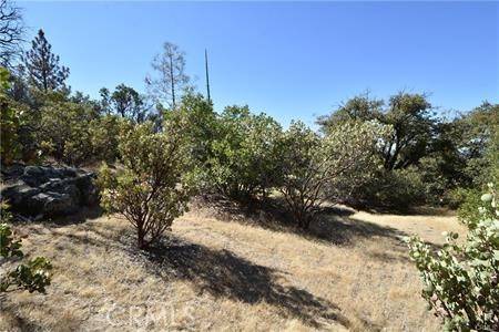 0 Indian Cemetary, Berry Creek, CA 95916