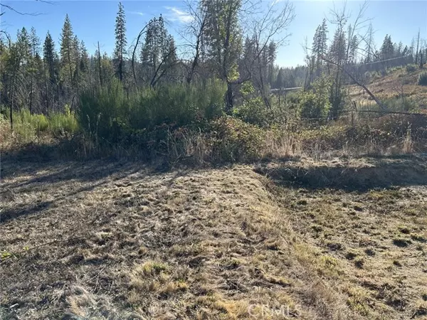 Berry Creek, CA 95916,80 Meadow