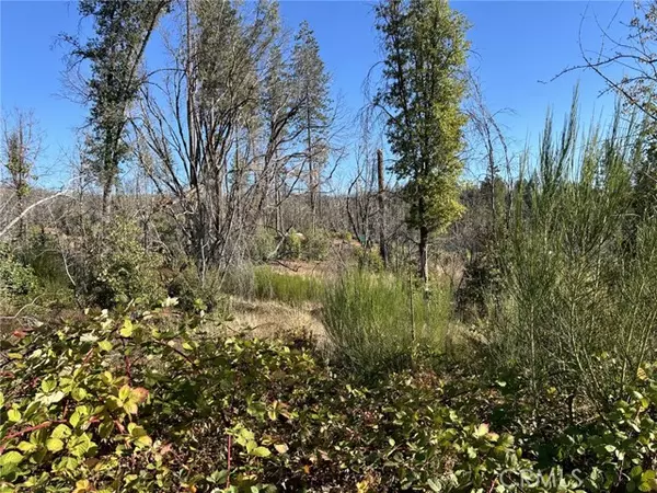 Berry Creek, CA 95916,80 Meadow