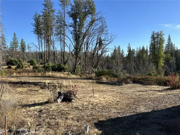 Berry Creek, CA 95916,80 Meadow