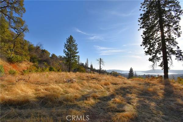 0 Canyon Creek, Berry Creek, CA 95966