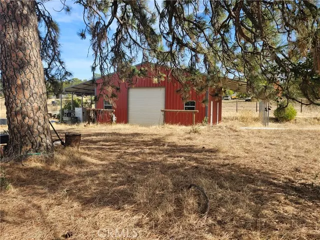 Oroville, CA 95966,0 Mission Olive