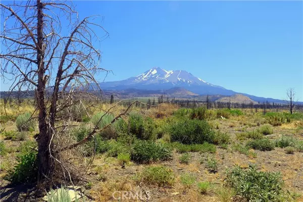 Weed, CA 96094,0 Juniper Valley