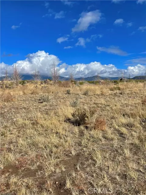 Weed, CA 96094,0 Juniper Valley