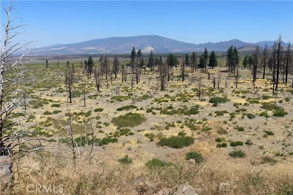 Weed, CA 96094,0 Juniper Valley