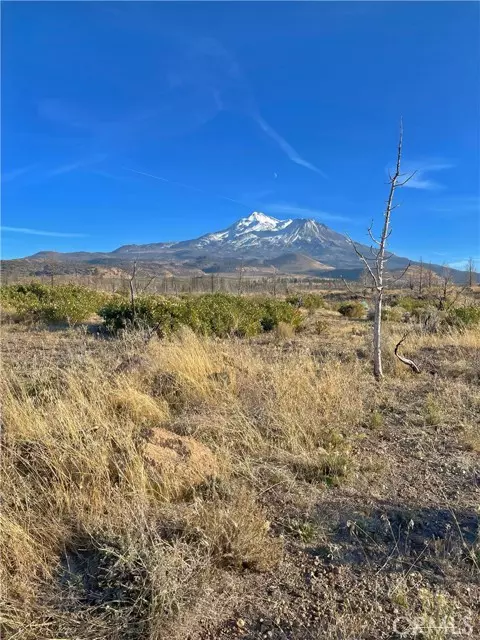 Weed, CA 96094,0 Juniper Valley