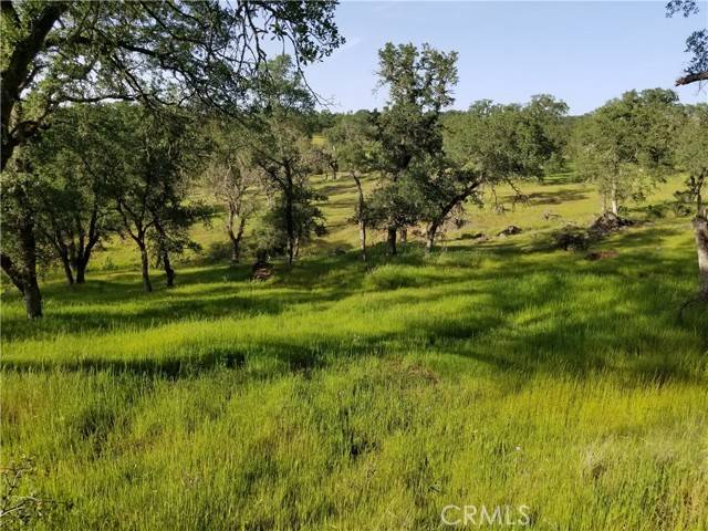 Oroville, CA 95966,0 Bethridge Road