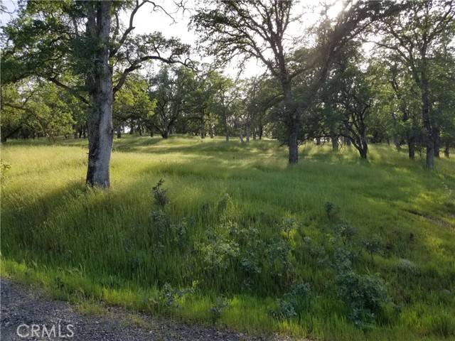 Oroville, CA 95966,0 Whitney