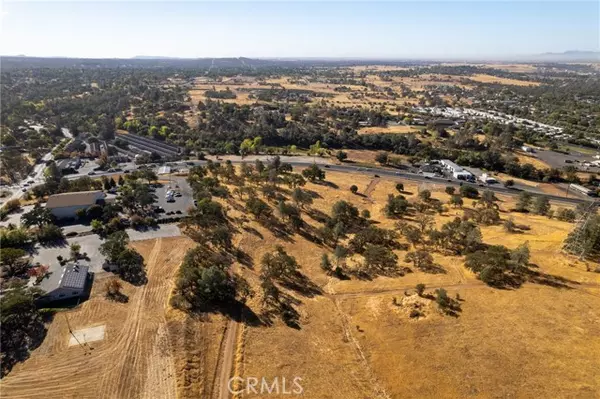 Oroville, CA 95966,0 Olive