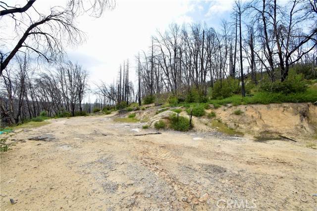 Berry Creek, CA 95916,80 Oak