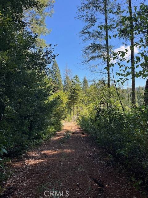 Strawberry Valley, CA 95981,0 Juniper
