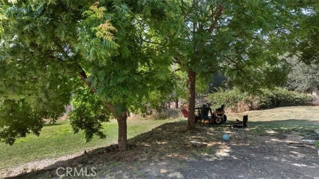 Oroville, CA 95966,3731 Olive
