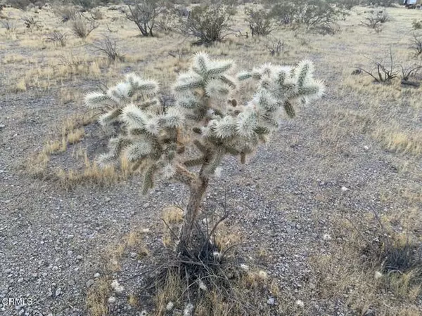 Lucerne Valley, CA 92356,0 Spinal