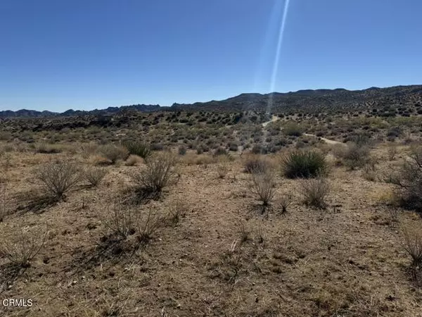 Pioneertown, CA 92268,3085 Apache Pass