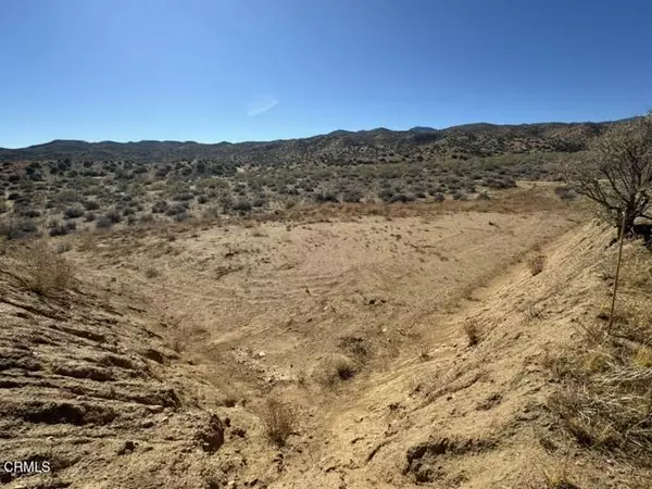 Pioneertown, CA 92268,3085 Apache Pass