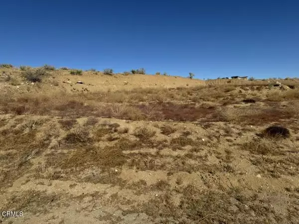 Pioneertown, CA 92268,3085 Apache Pass