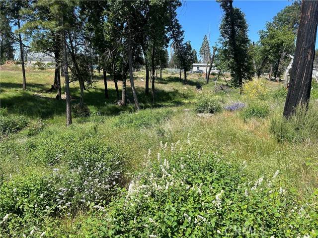 13664 Fritz, Magalia, CA 95954