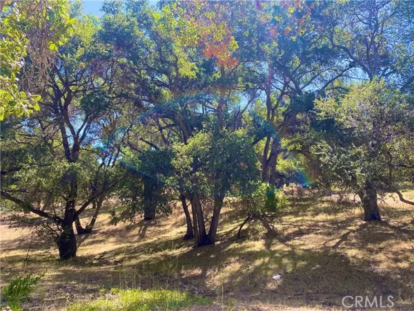 Atascadero, CA 93422,9085 San Rafael Road